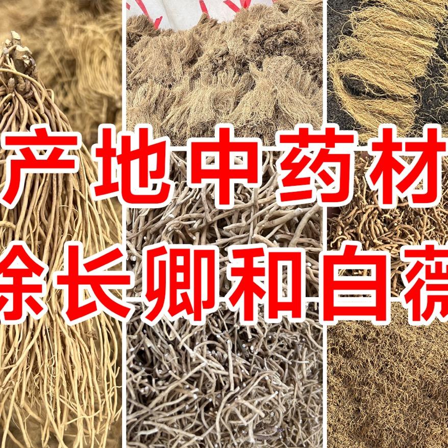 山东新泰汶南镇药材合作社产徐长卿白薇丹参