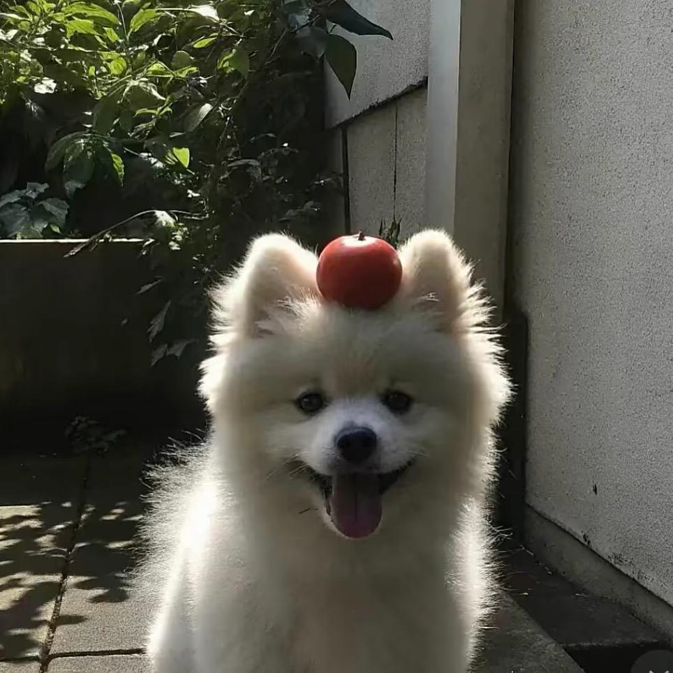 全都给我滚