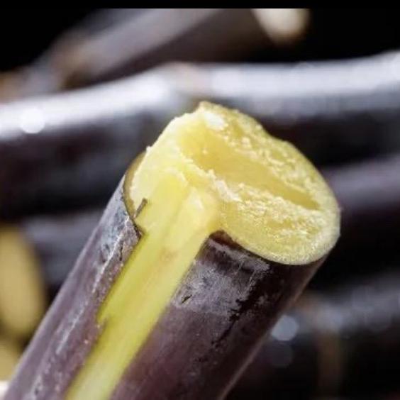 桂岭水果销售经营部