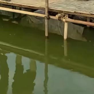重来