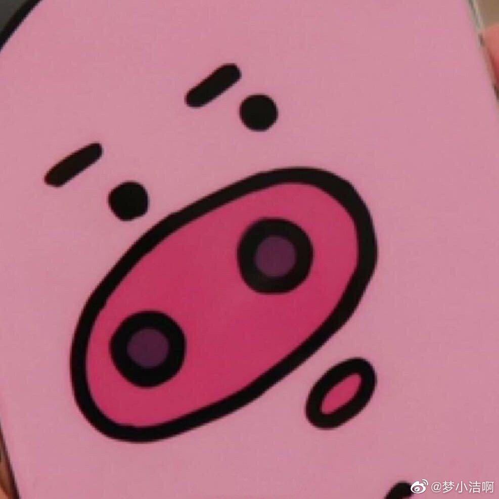 Hosummer！！！🐾