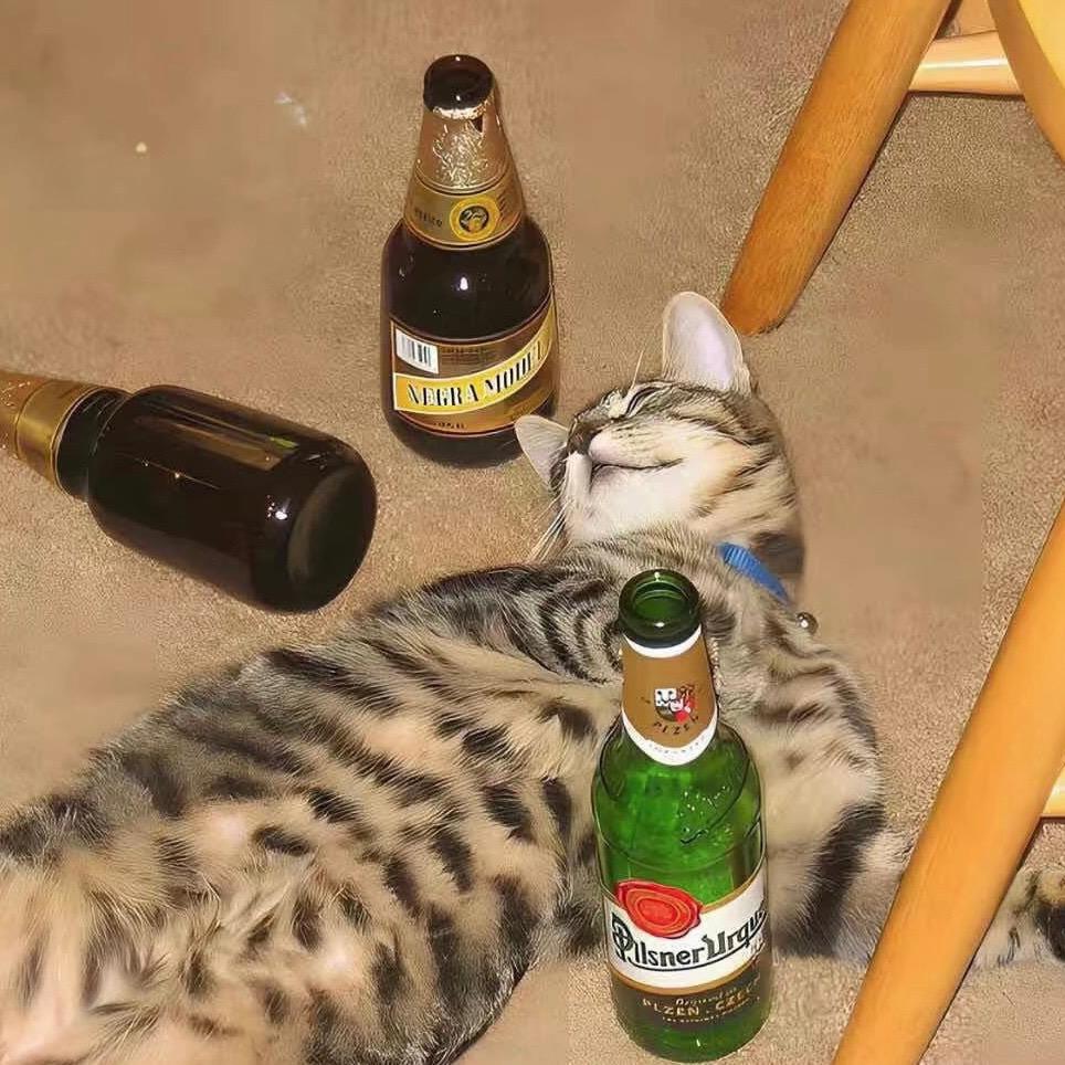 1126