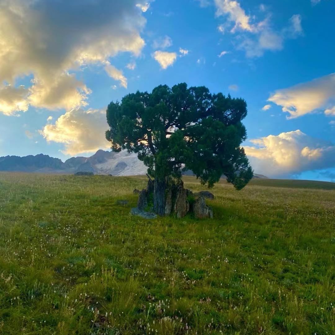 རྒྱ་࿂࿂ལོ།།