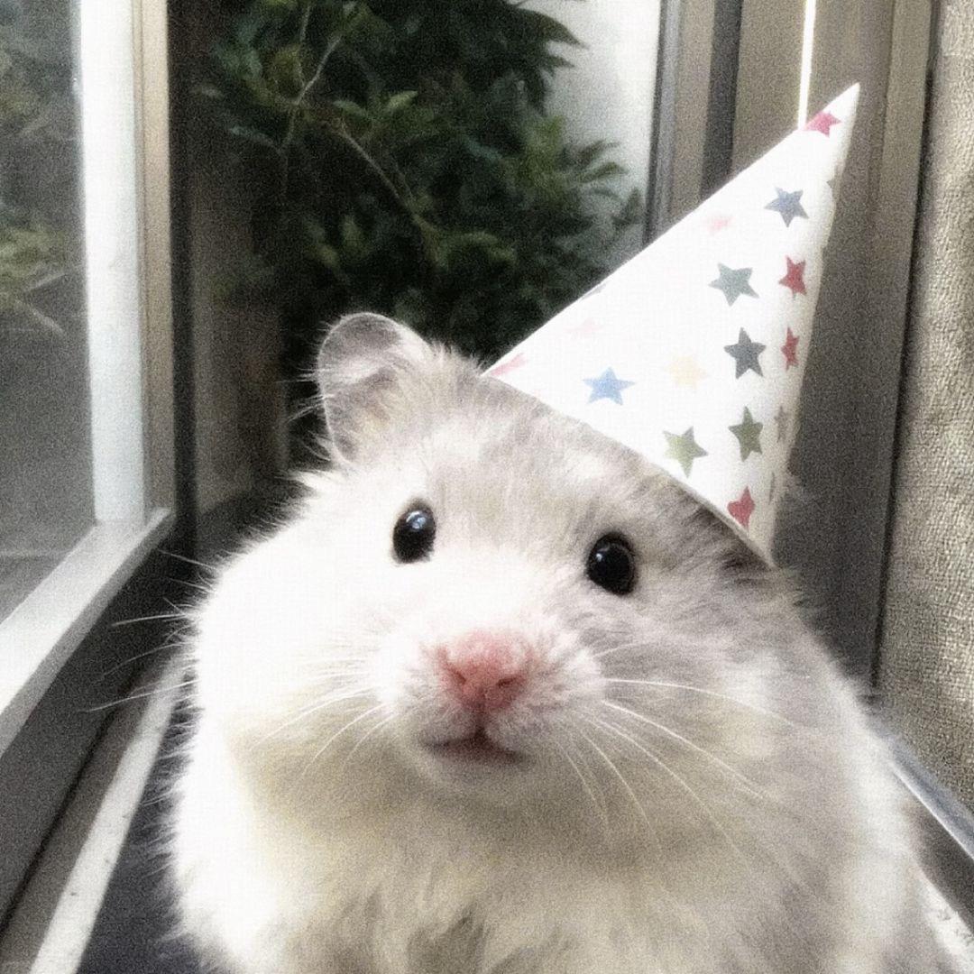 y'