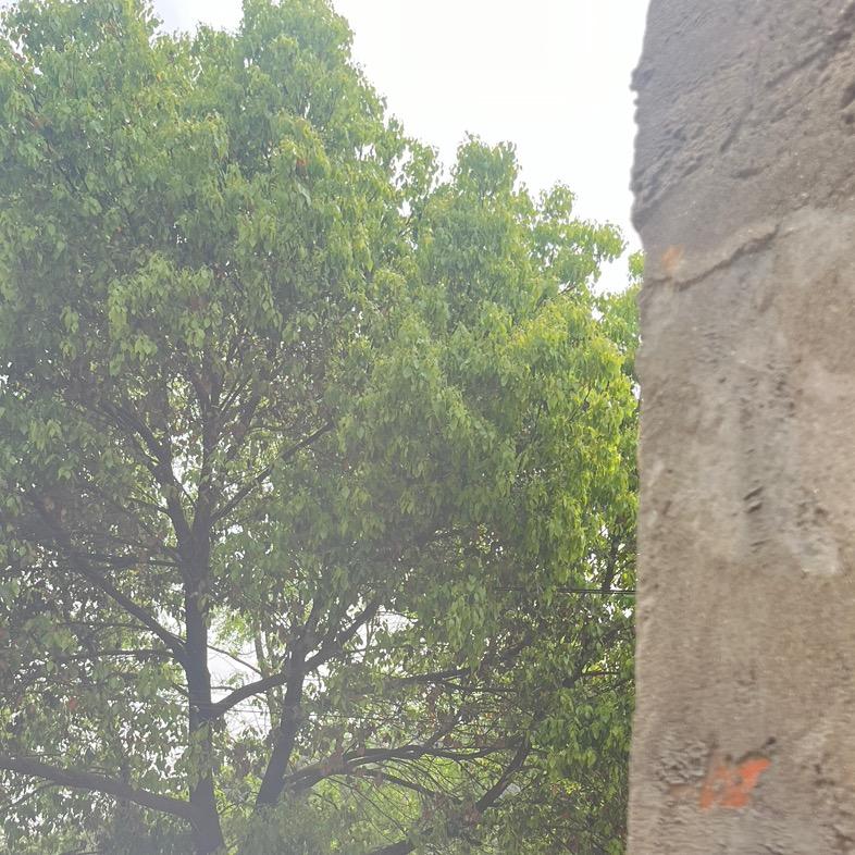 安若妍妍妍传媒