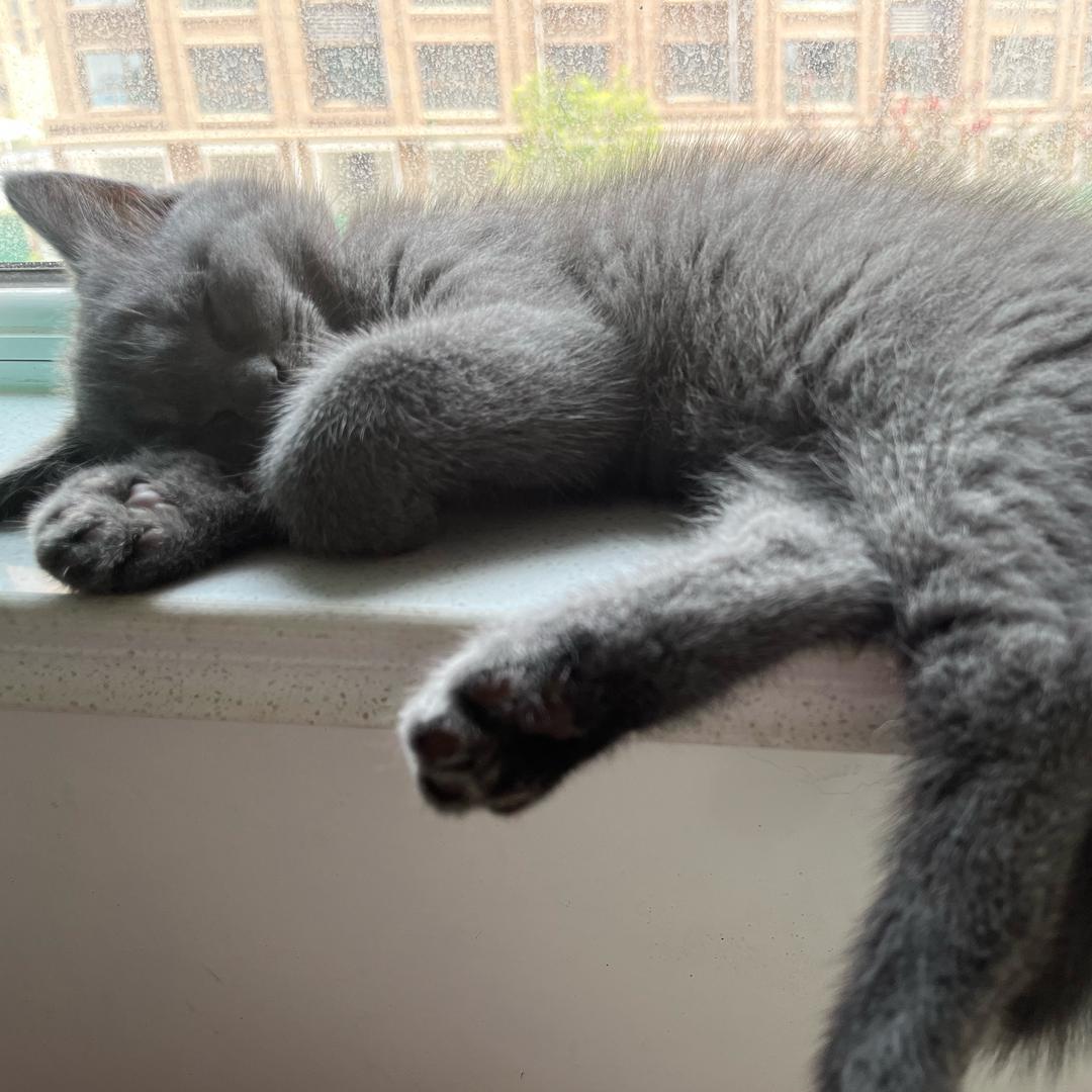 头痛医头脚痛医脚