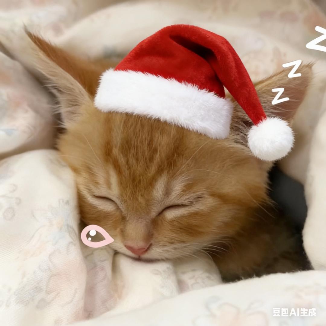 魔彤睡不醒💤