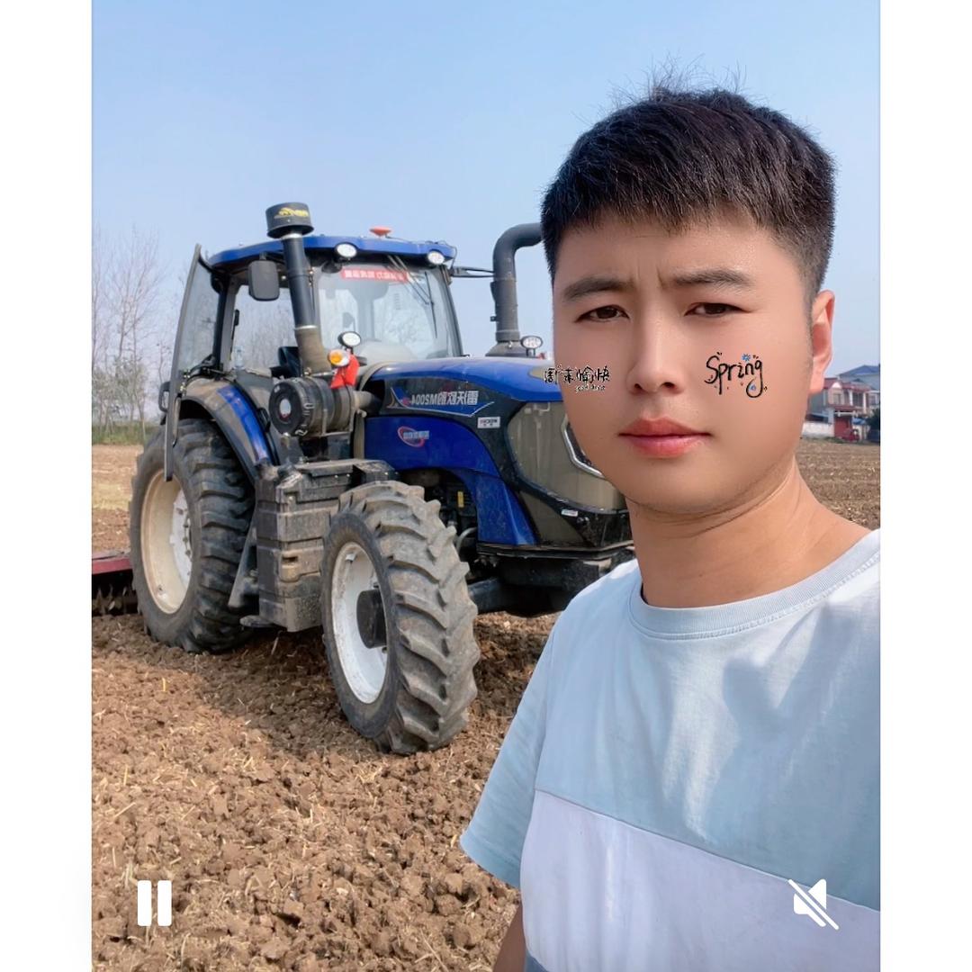 太和洋葱种植基地【田玉龙】