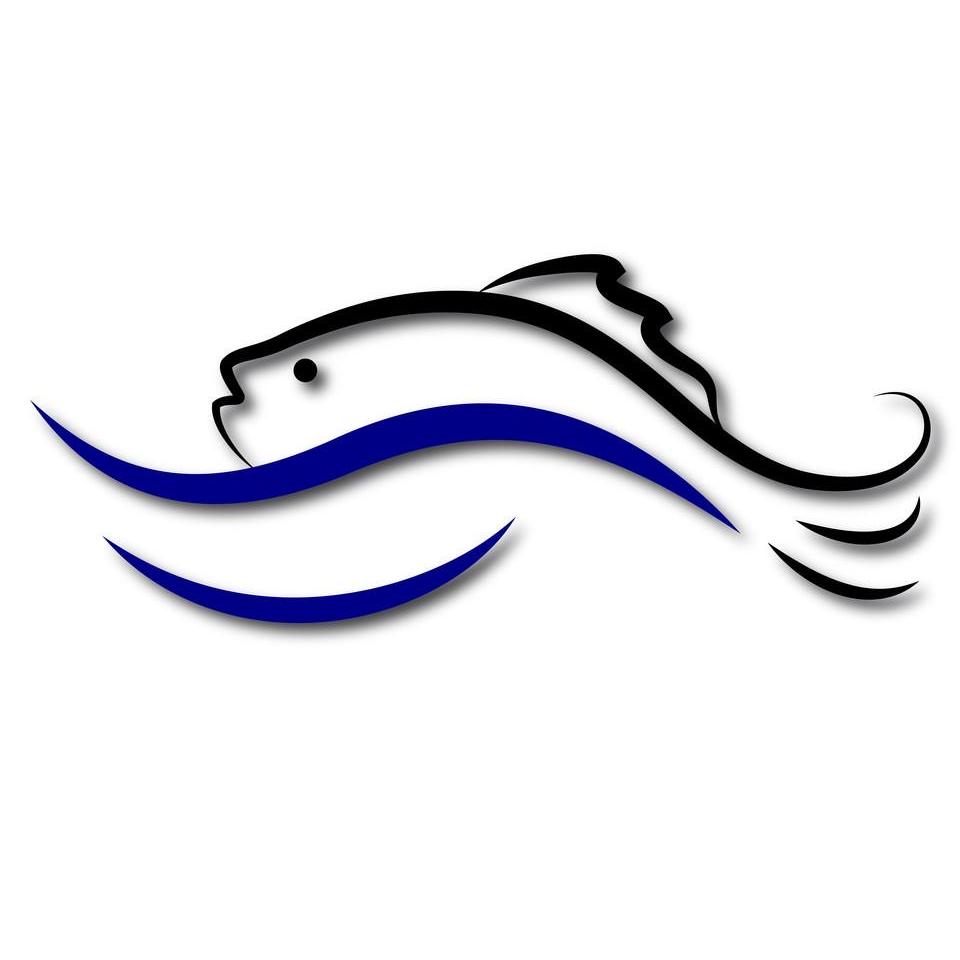 广东老渔夫鱼苗