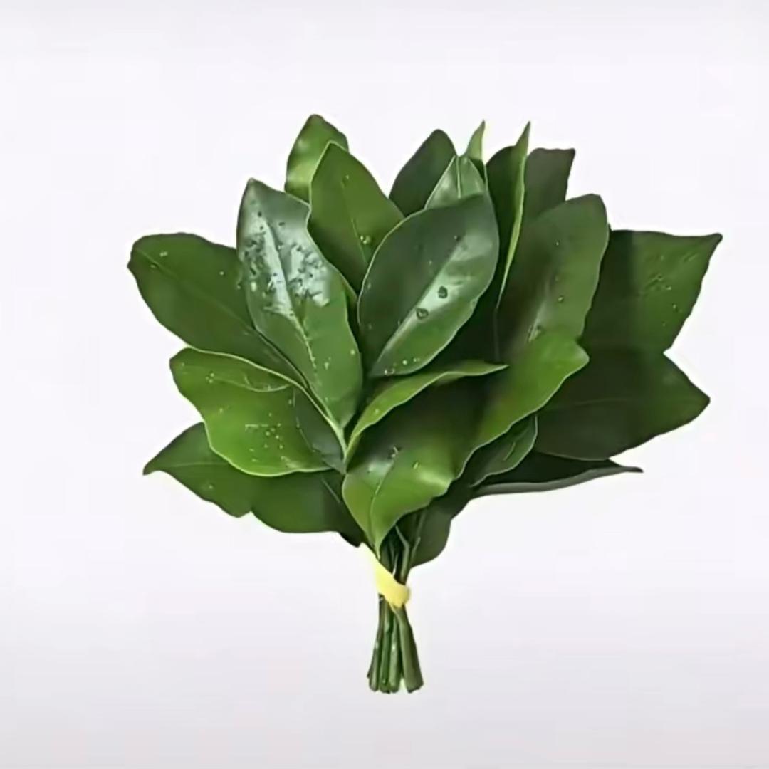 🐟鱼子酱