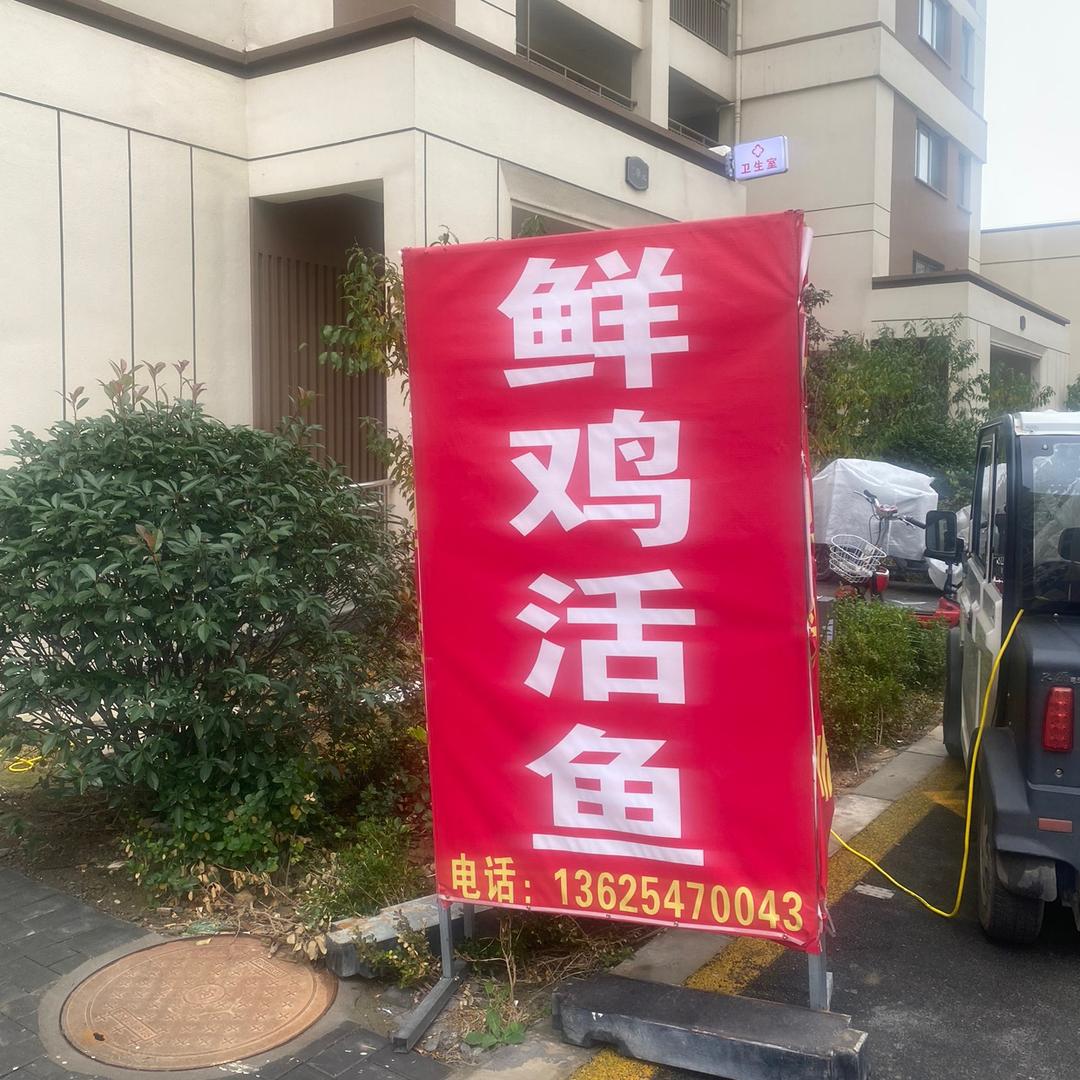 鲜鸡大鹅