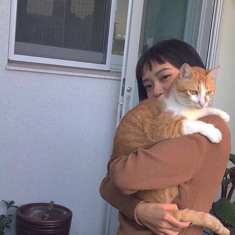 ✌︎