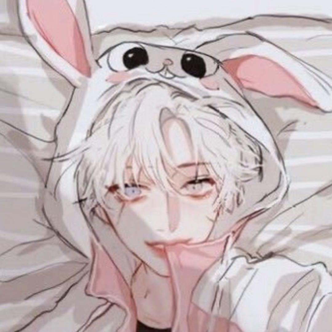 ϞϞ战兎🐰˞͛