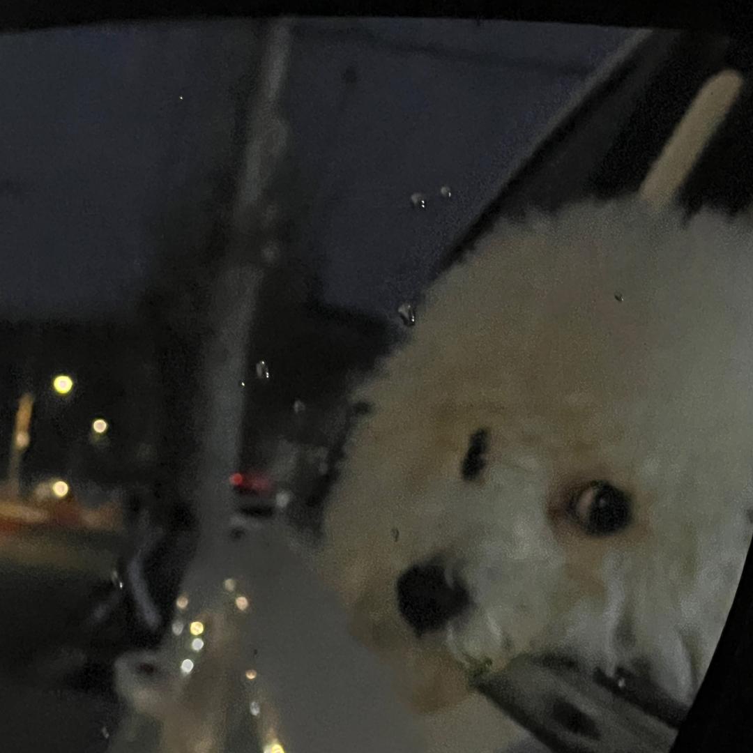 是阿媛啊°