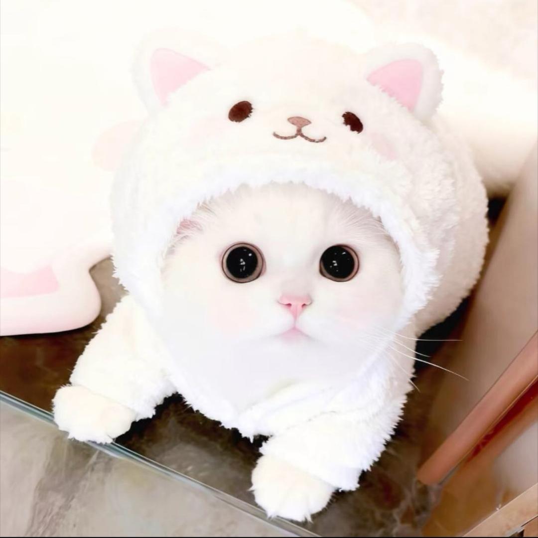 I𝙪𝙠𝙤𝙞𝟳𝟳·