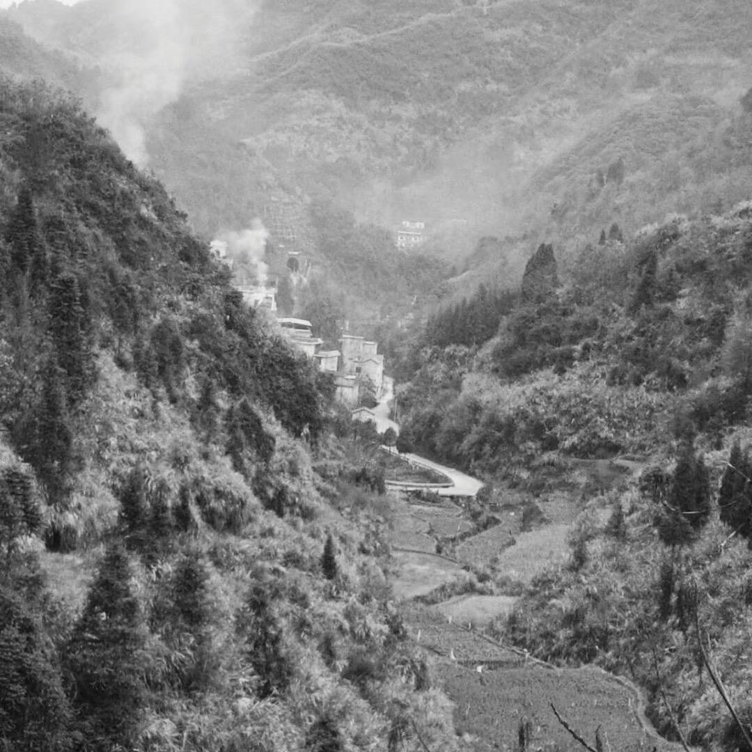 小落（代售找狗）