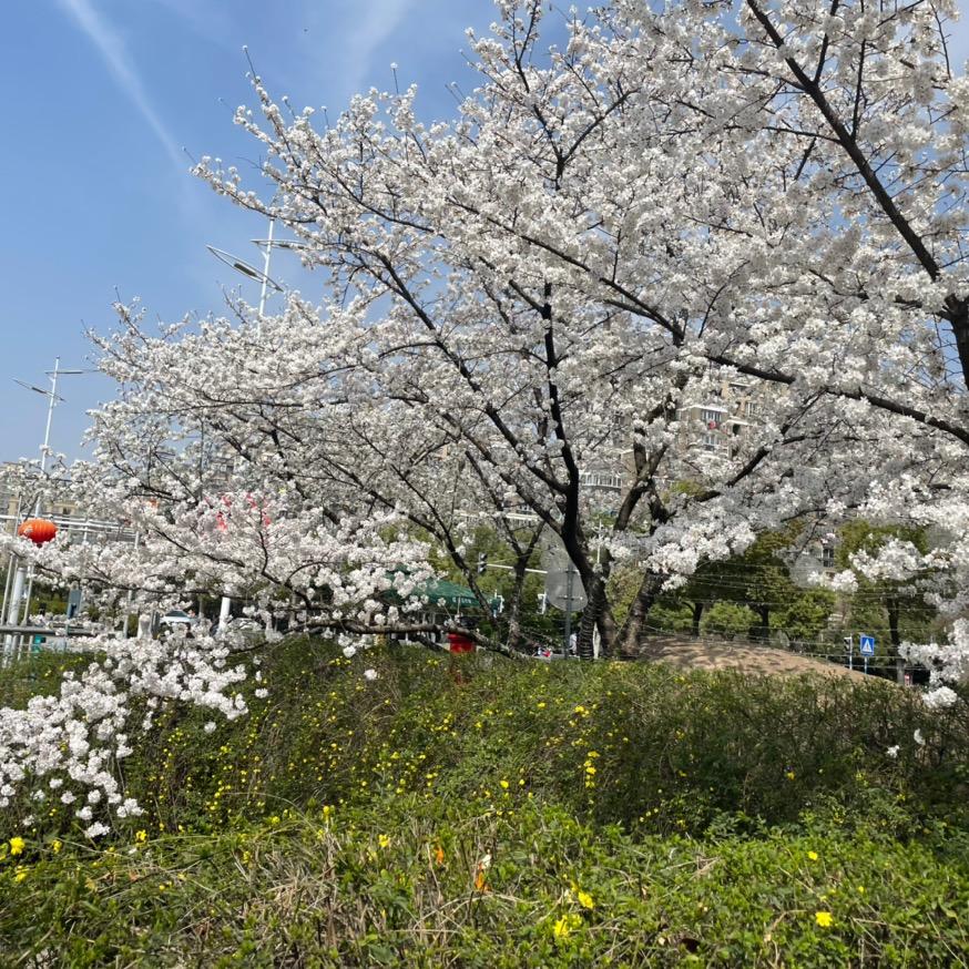 ✈️生活在何处❄️