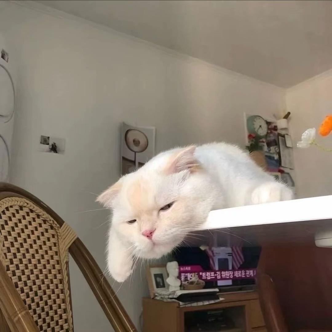 猴子请来的救兵