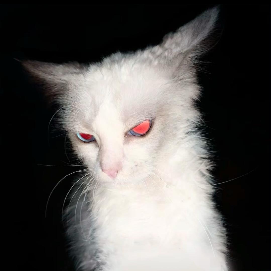 煦