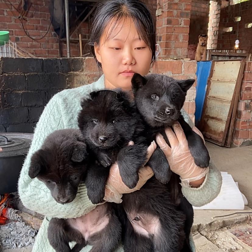 养犬人瑶妹