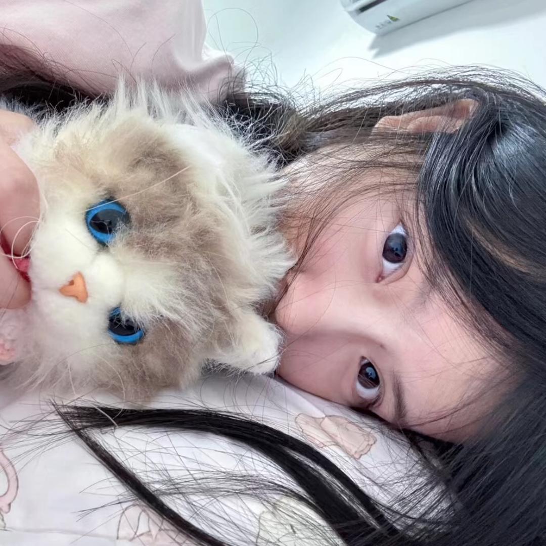 晚安小羊🍠