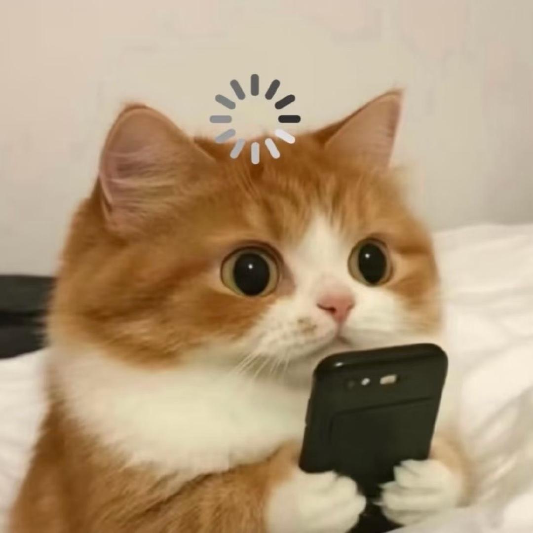 初遇