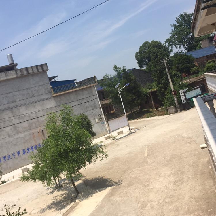 花好月圆🌺