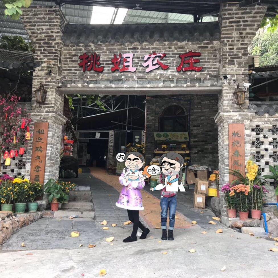 从化温泉桃姐农家庄