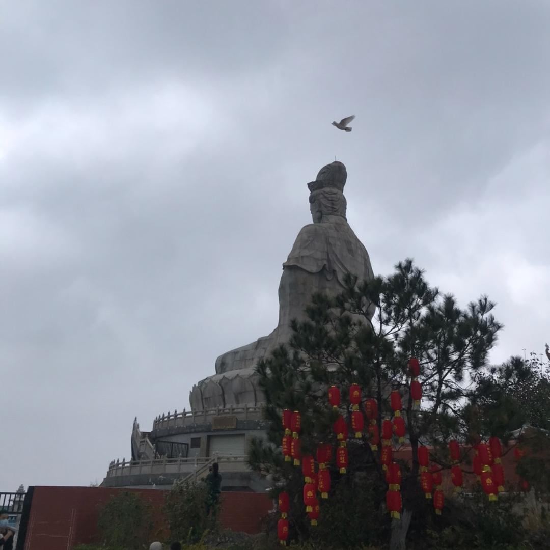 陆 大表哥