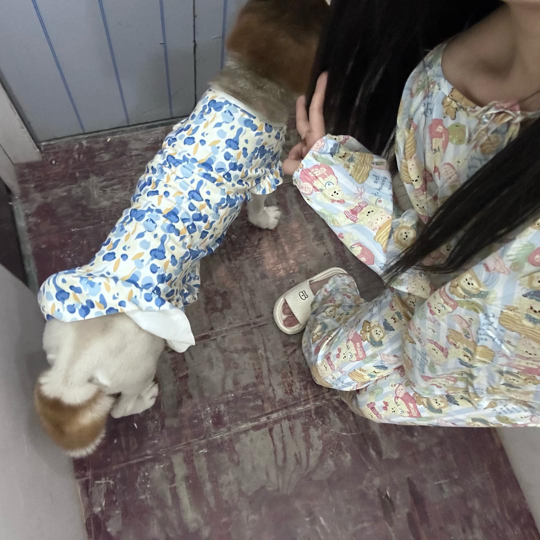 哈士摊与三花嘟
