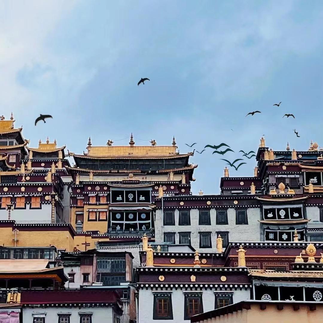 初高中学习规划李老师