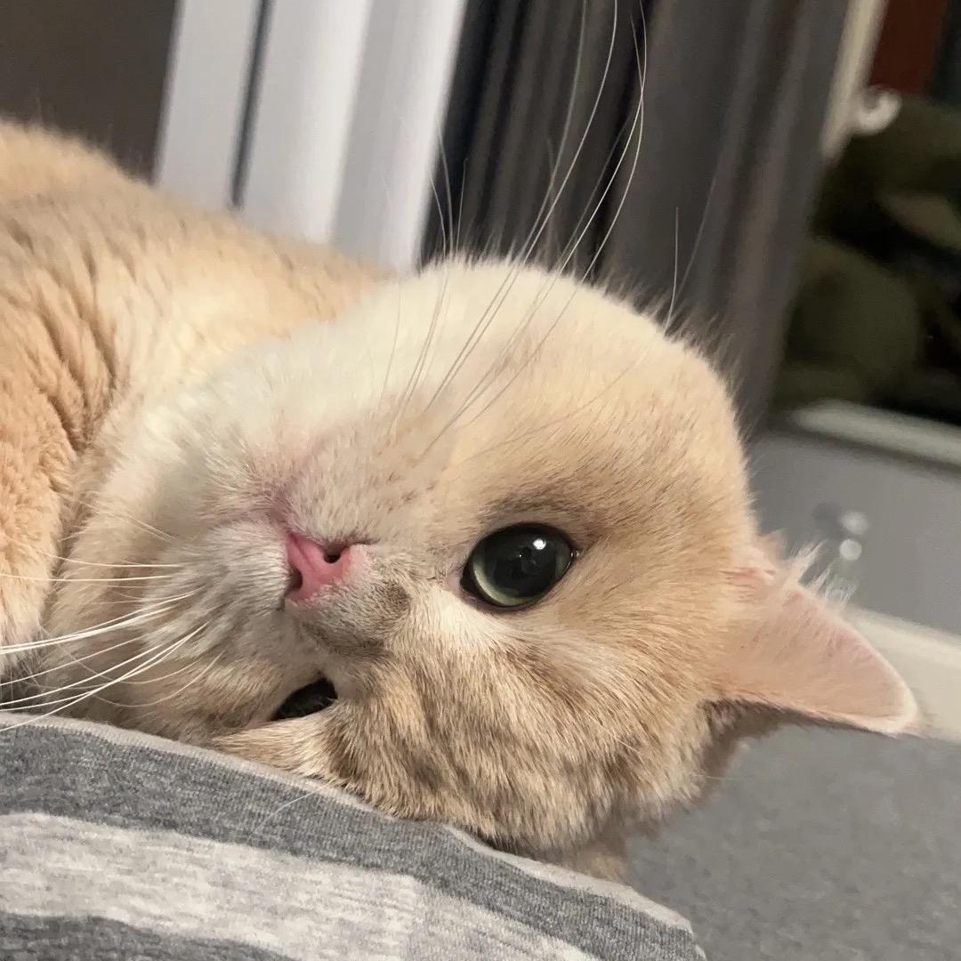 DK潮牌时尚服饰店