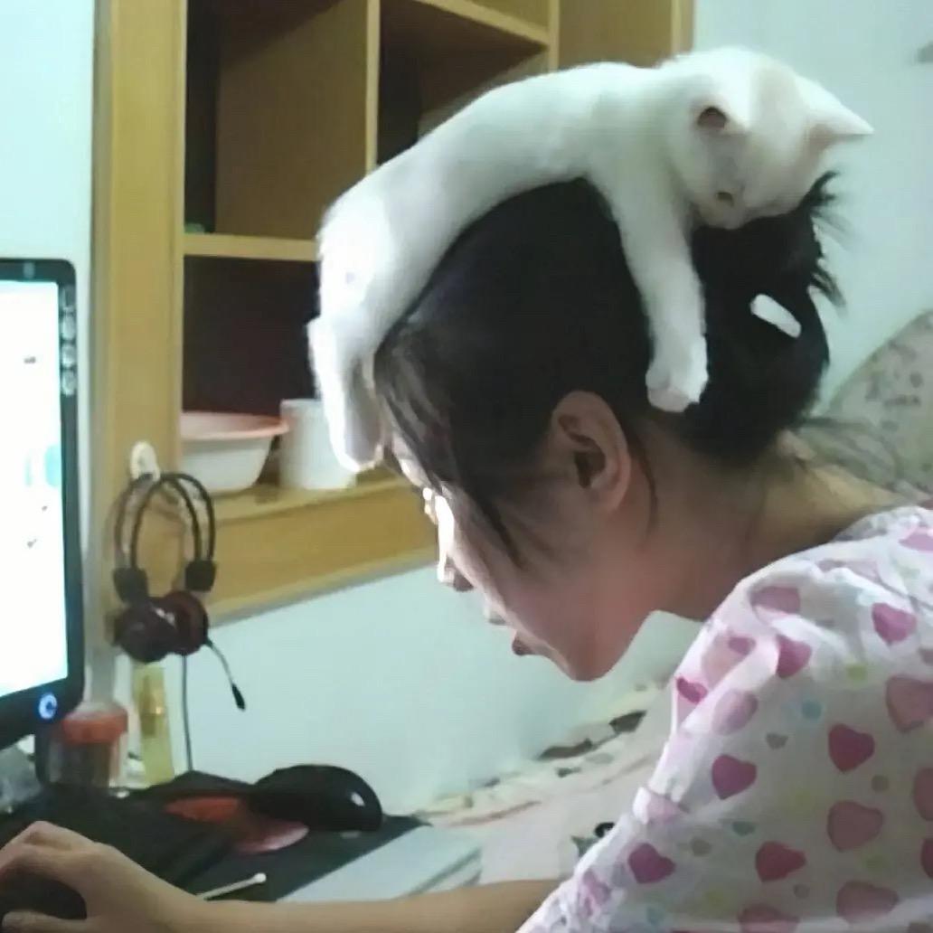 普亰