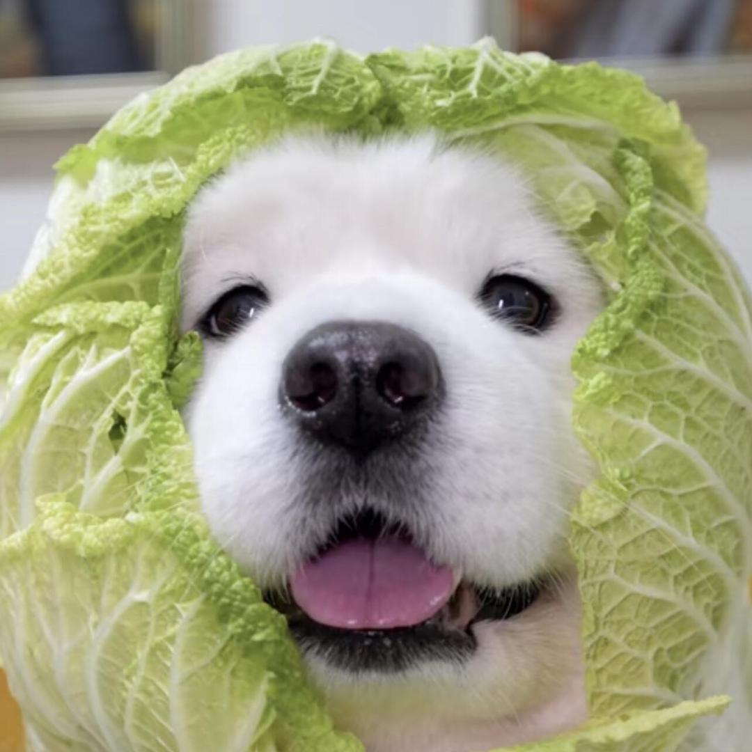 犁毓梅