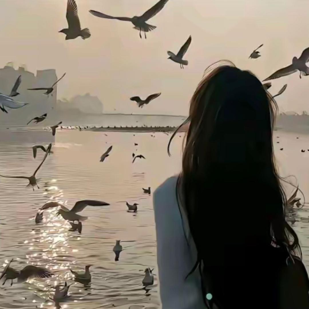 某季_