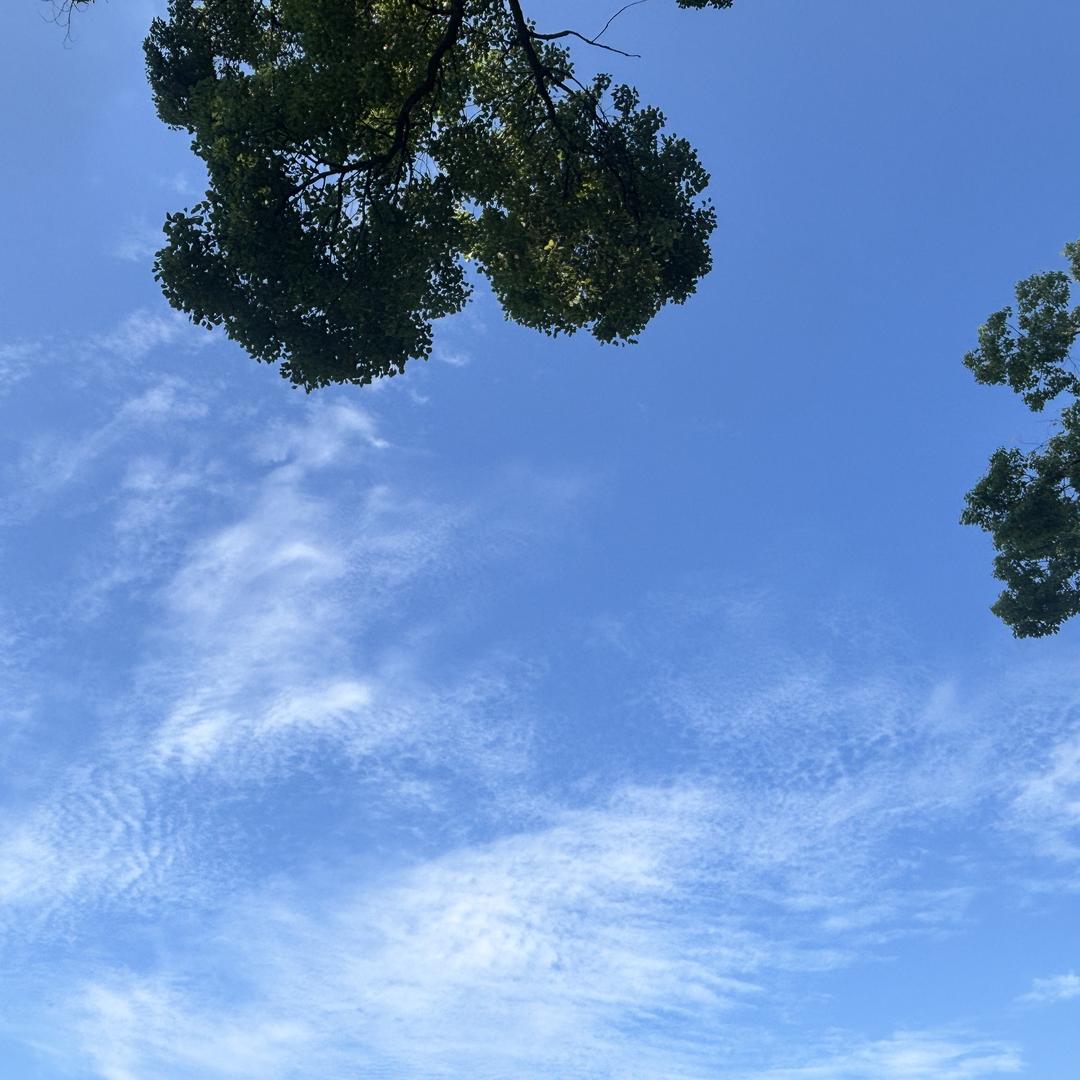 赣南富硒小镇果蔬