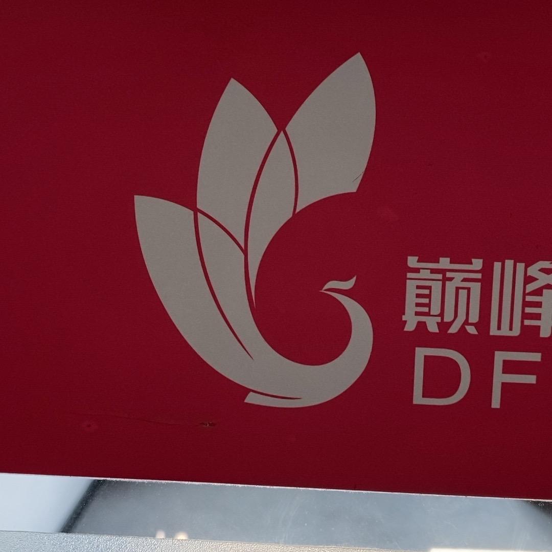巅峰减重训练营