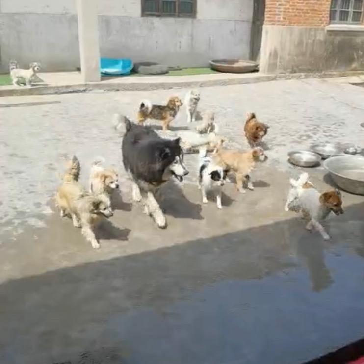暖爱