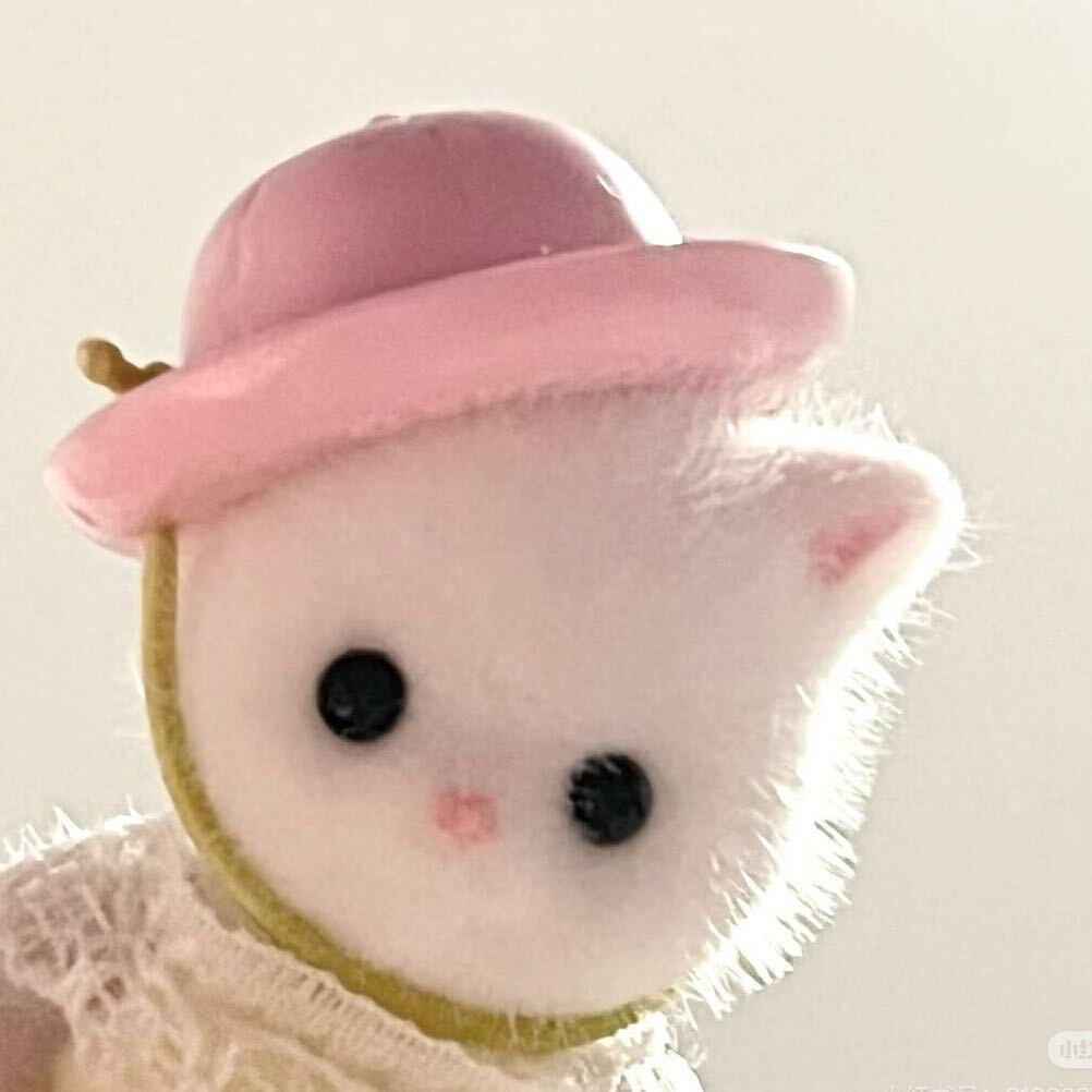 一隻特立独行的猪