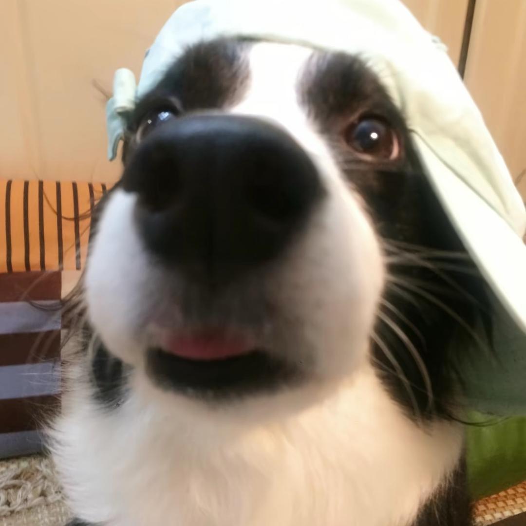 古早記意