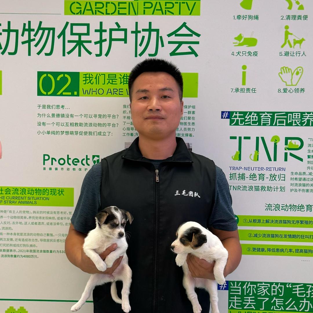 三毛家的毛孩子