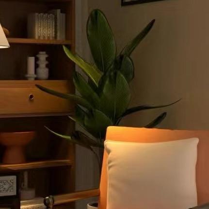 虚室生白  杜会长