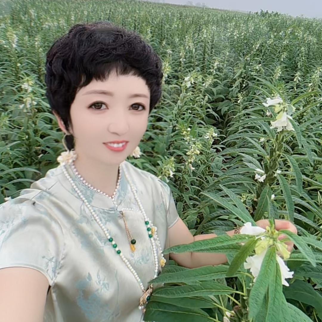 花衣阁(花姐)工厂店