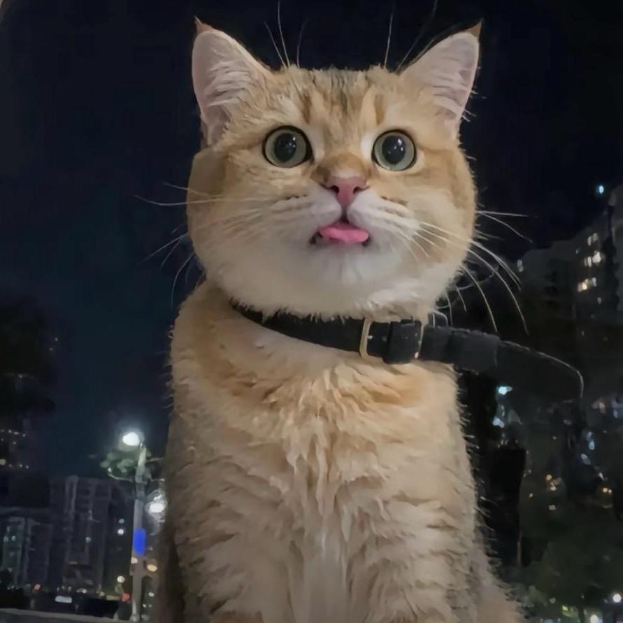 @文文