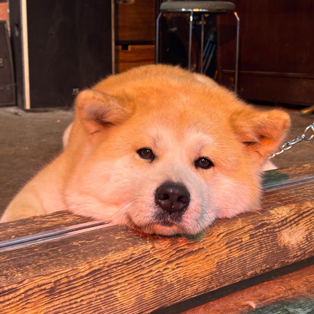 谁请我吃火锅