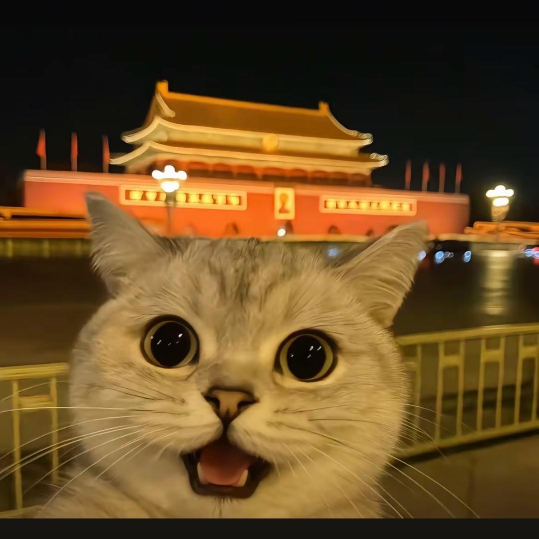 小耳朵