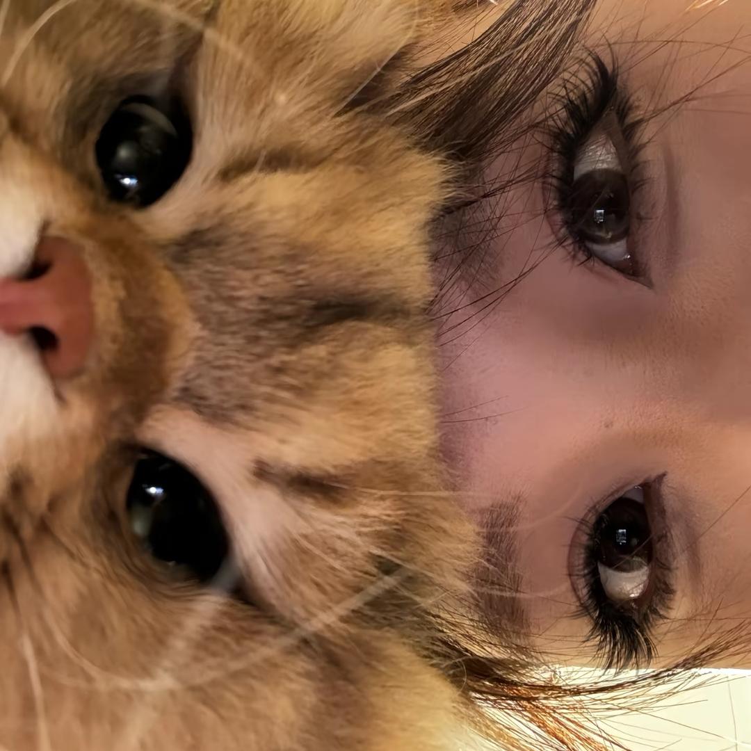 yuii
