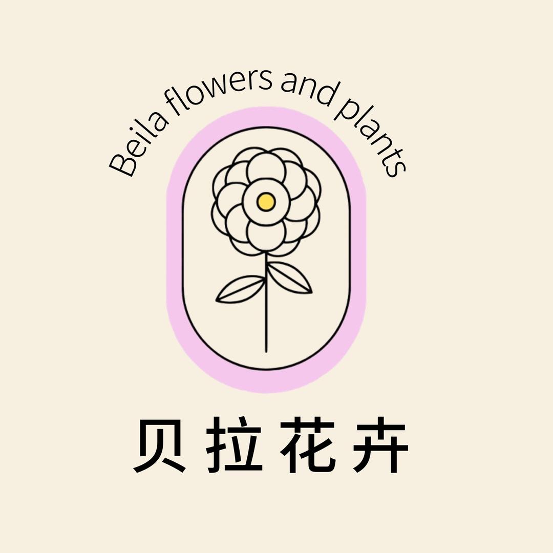贝拉花卉