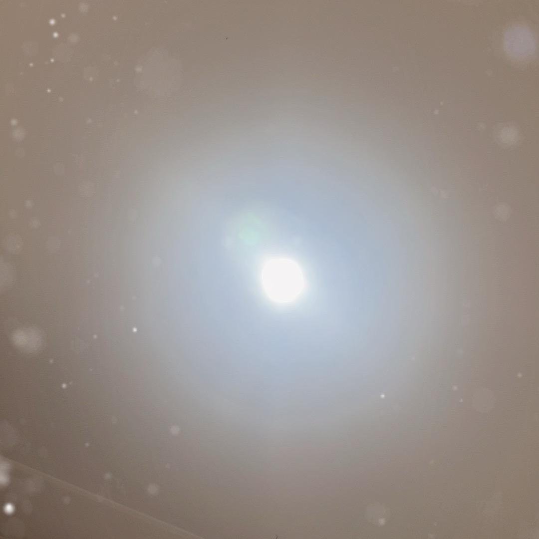 九头鸟（北哥）