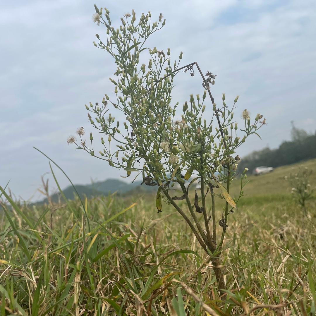 @:: 兜兜🌾散开让我来